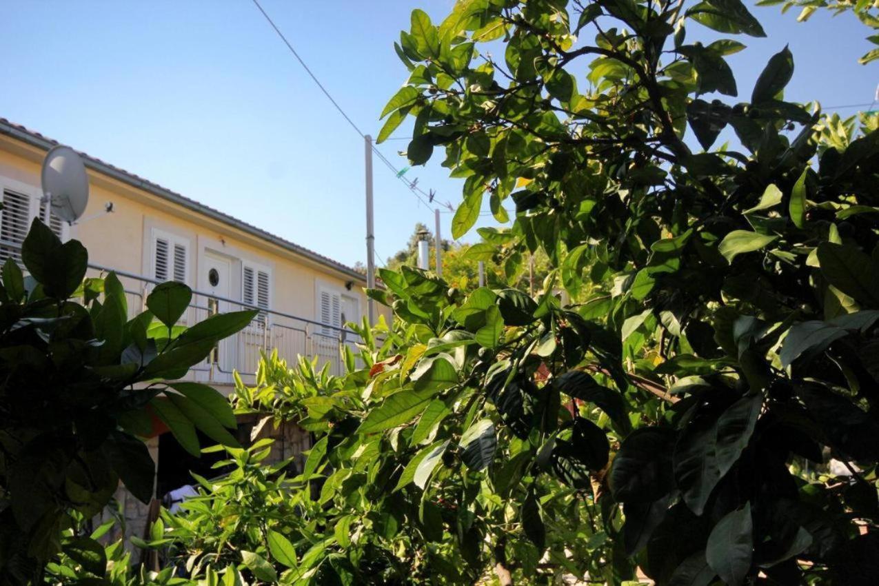 Guesthouse Gradina Lovište 外观 照片